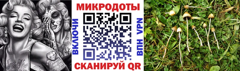 Галлюциногенные грибы прущие грибы  как найти   Бологое 